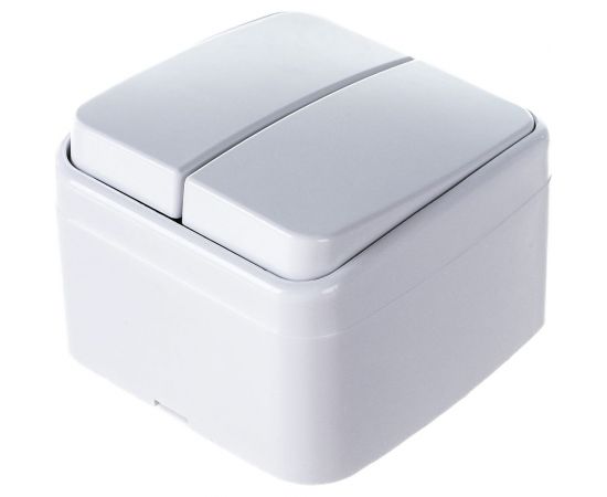 2-клавишный выключатель TDM открытой установки IP20 10А, белый Дача Народная SQ1824-0002 