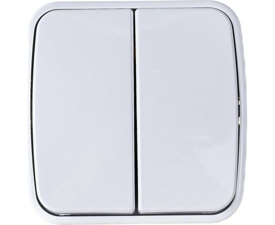 2-клавишный выключатель TDM открытой установки IP20 10А, белый Дача Народная SQ1824-0002 – изображение 3