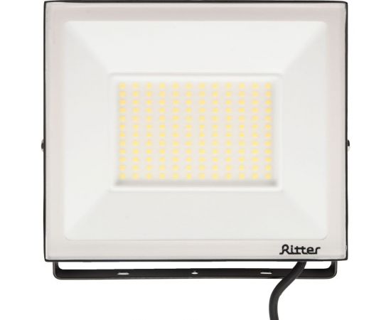 Светодиодный прожектор RITTER серия PROFI 230В 100 Вт 4000К 10000Лм IP65 черный 53419 2 – изображение 5