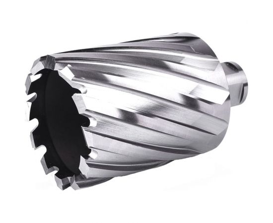 Фреза кольцевая №44 (50х55/88 мм; WELDON19; HSS M2) Профоснастка 40101044 