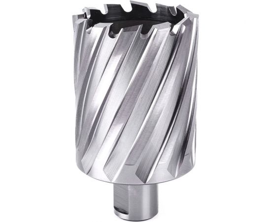 Фреза кольцевая №44 (50х55/88 мм; WELDON19; HSS M2) Профоснастка 40101044 – изображение 2