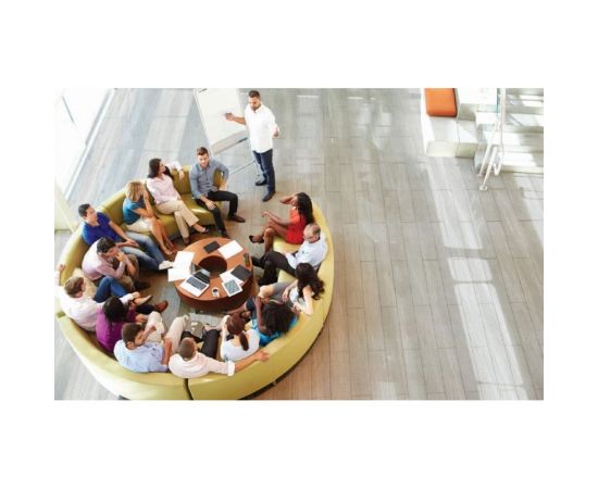 SPC виниловый ламинат Royce CronaFloor Gamma 100% влагостойкий, 42 класс износостойкости, 2.16 м2 G001 