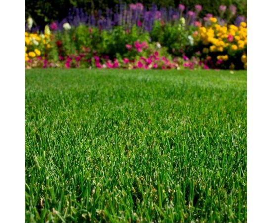 Семена Сила Суздаля Семена Мятлика 300 г 4680004061120 – изображение 2