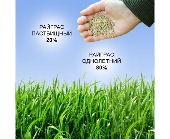 Семена газона Зри в корень СуперЭкспресс 0.8 кг 1010026140 – изображение 4