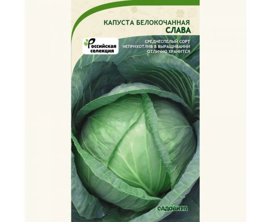 Семена САДОВИТА Капуста Слава белокочанная 0.5 г 00140086 – изображение 2