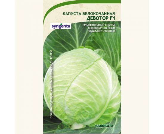 Семена САДОВИТА Капуста Девотор белокочанная F1 10 семечек 00132349 – изображение 2