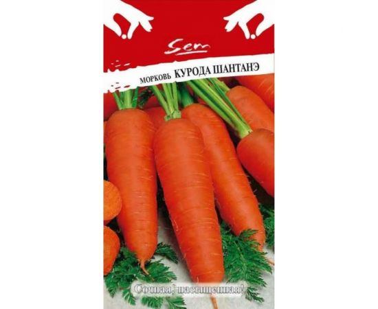 Семена РУССКИЙ ОГОРОД Морковь Курода Шантанэ 2 г 319332 – изображение 2