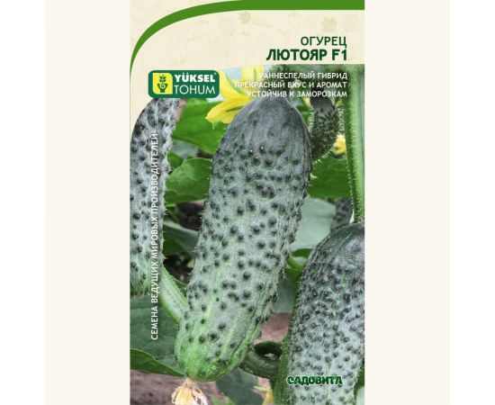 Семена САДОВИТА Огурец Лютояр F1 5 семечек 00183587 – изображение 2