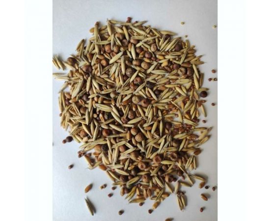 Семена Сила Суздаля Смесь Сидератов универсальная 1 кг 4680004063827 – изображение 3