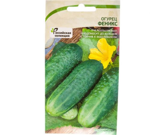 Семена САДОВИТА Огурец Феникс 10 семечек 00140090 – изображение 4