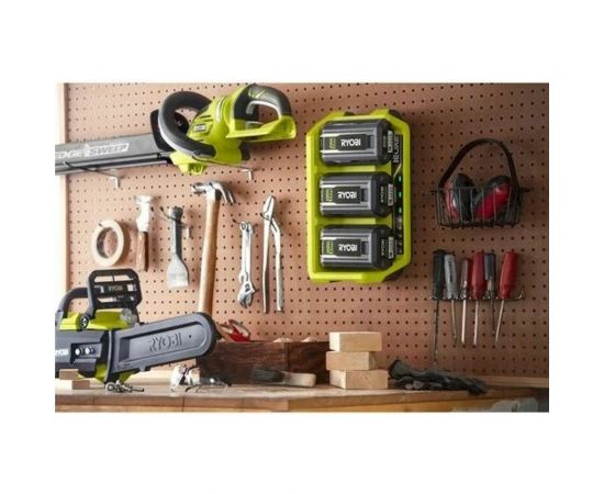Зарядное устройство RY36C3PA 36В Ryobi 5133005540 – изображение 4
