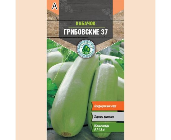 Семена Тимирязевский питомник кабачок Грибовские 37 2 г 4607189279461 – изображение 2