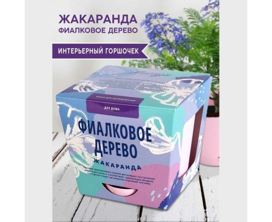 Набор для выращивания растений Тысяча листьев Фиалковое дерево Жакаранда tl-003 – изображение 4