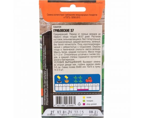 Семена Тимирязевский питомник кабачок Грибовские 37 2 г 4607189279461 – изображение 4