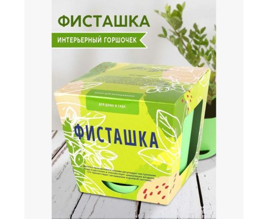 Набор для выращивания растений Тысяча листьев Фисташка tl-021 – изображение 4