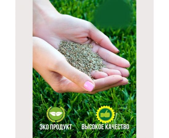 Газонная травосмесь ABSOLUTE GREEN Абсолют Спорт 500 г 00000000467 – изображение 4