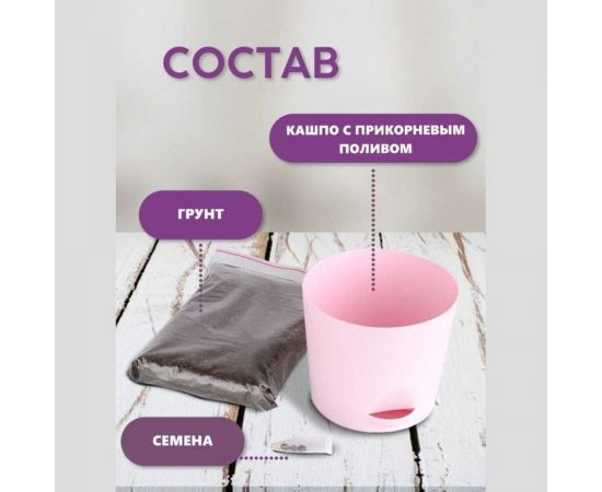 Набор для выращивания растений Тысяча Листьев Клубника ремонтантная tl-020 – изображение 5