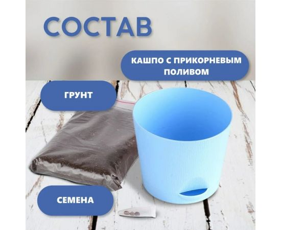 Набор для выращивания растений Тысяча листьев Незабудка tl-010 – изображение 5