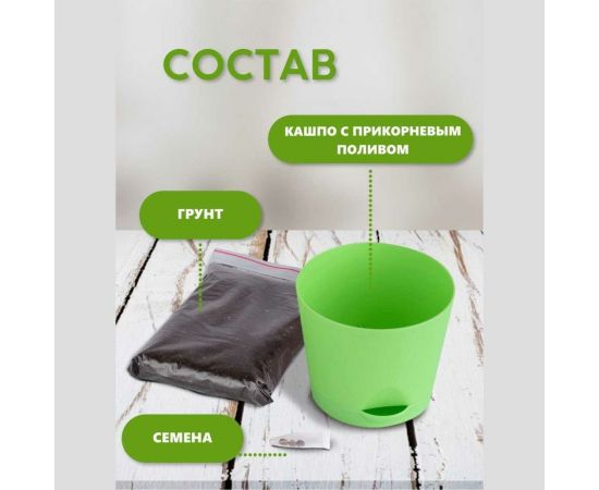 Набор для выращивания растений Тысяча листьев Фисташка tl-021 – изображение 5