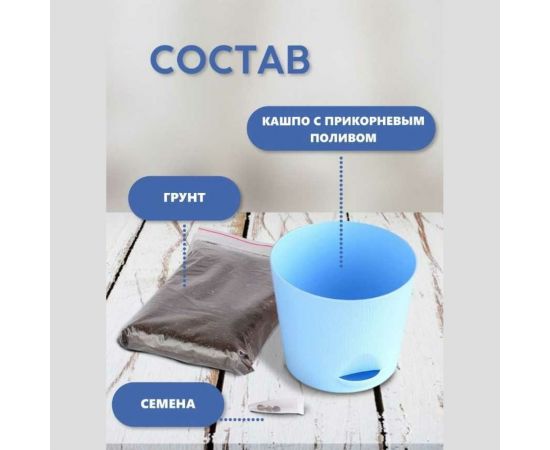 Набор для выращивания растений Тысяча Листьев Лаванда tl-007 – изображение 5