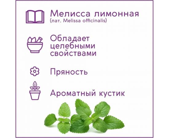 Набор для выращивания растений Тысяча листьев Мелисса лимонная tl-018 – изображение 5