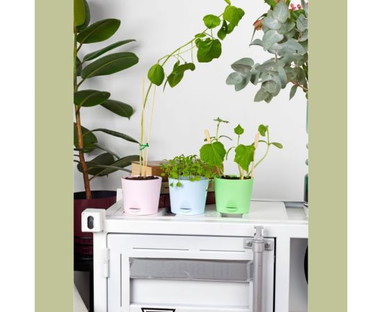 Набор для выращивания растений Огурец корнишон Тысяча Листьев tl-012 – изображение 6