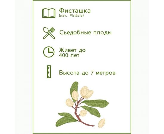 Набор для выращивания растений Тысяча листьев Фисташка tl-021 – изображение 7