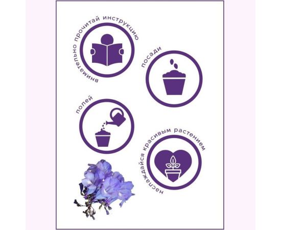 Набор для выращивания растений Тысяча листьев Фиалковое дерево Жакаранда tl-003 – изображение 9