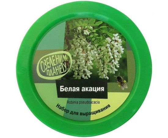 Набор для выращивания растений Вырасти,Дерево! Белая акация zk-076 