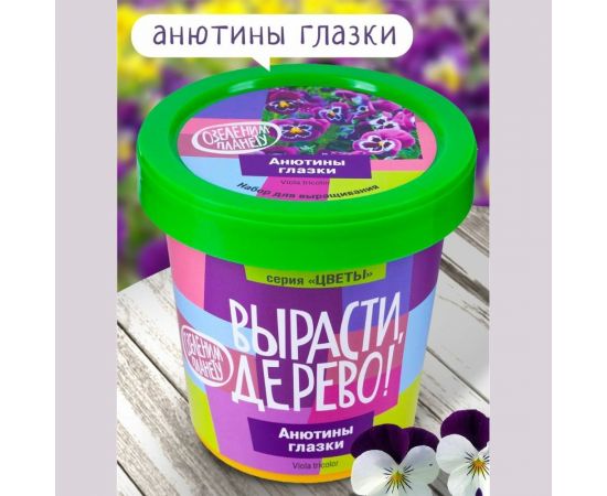 Набор для выращивания растений Вырасти,Дерево! Анютины глазки zk-124 – изображение 2