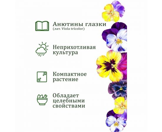Набор для выращивания растений Вырасти,Дерево! Анютины глазки zk-124 – изображение 3