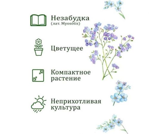 Набор для выращивания растений Вырасти,Дерево! Незабудка zk-125 – изображение 3