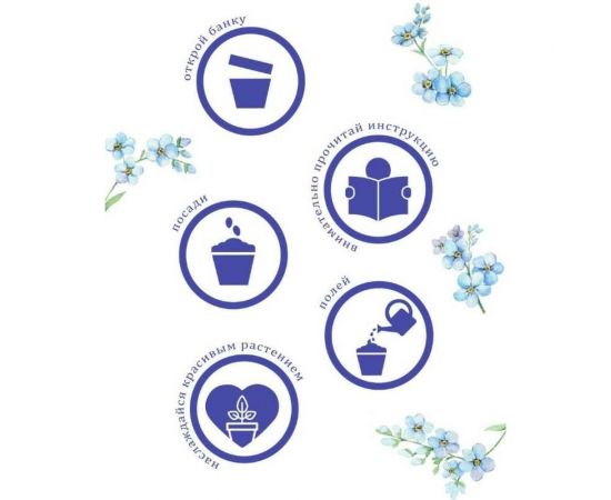 Набор для выращивания растений Вырасти,Дерево! Незабудка zk-125 – изображение 5