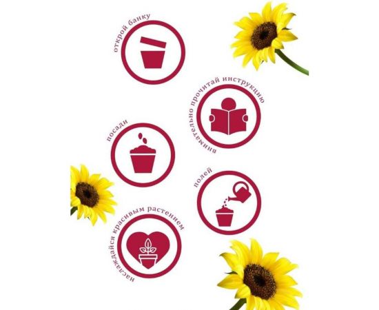 Набор для выращивания растений Вырасти,Дерево! Подсолнечник zk-032 – изображение 5