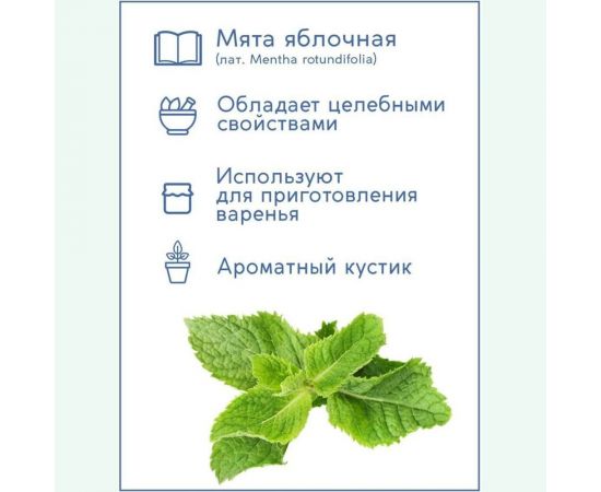 Набор для выращивания растений Тысяча листьев Мята яблочная tl-009 – изображение 6