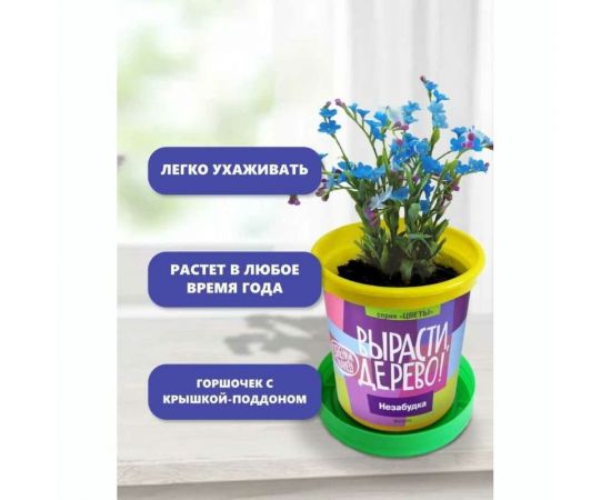 Набор для выращивания растений Вырасти,Дерево! Незабудка zk-125 – изображение 6