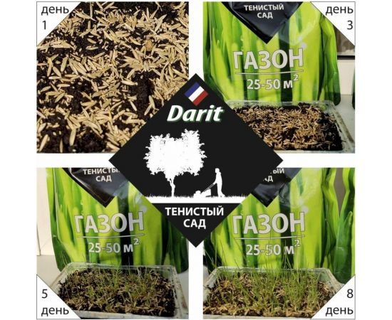 Газон DARIT Тенистый сад 115632 – изображение 3