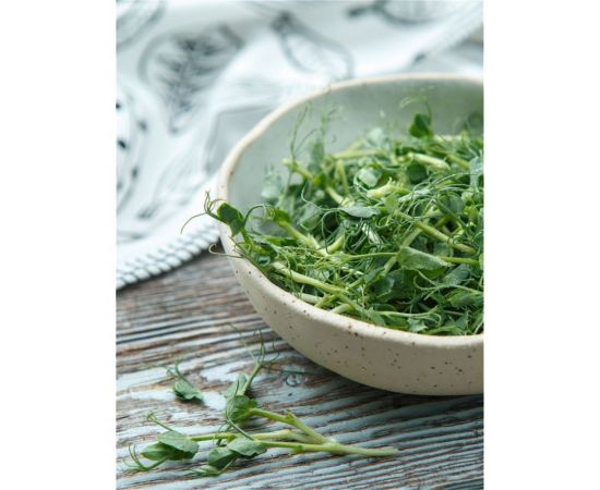 Семена Аэлита Микрозелень Гороховые усики, 10 г 4601729142925 – изображение 5