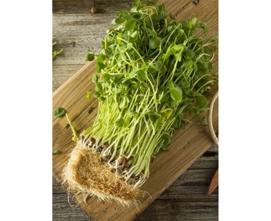 Семена Аэлита Микрозелень Гороховые усики, 10 г 4601729142925 – изображение 6