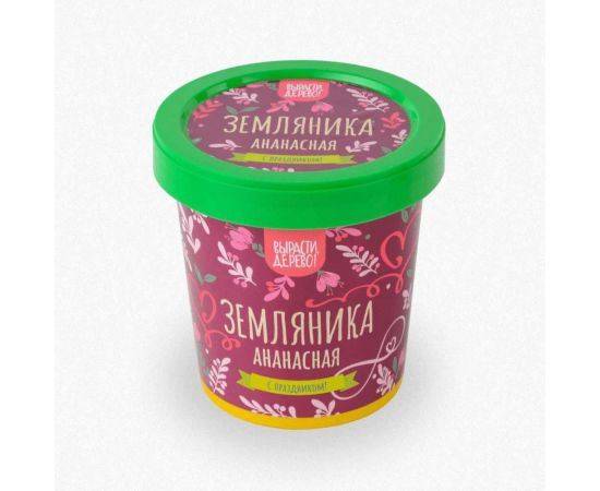 Подарочный набор для выращивания растений Вырасти,Дерево! Земляника ананасная zk-114 