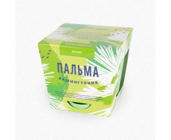 Набор для выращивания растений Тысяча листьев Пальма Вашингтония tl-013 