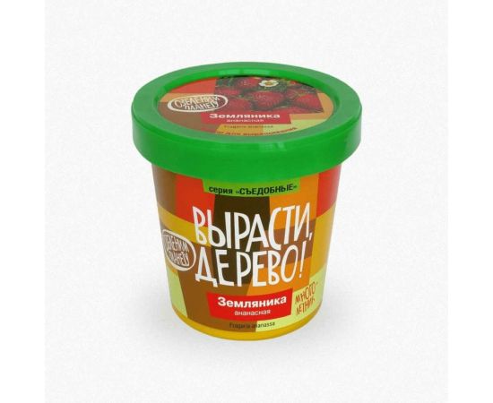 Набор для выращивания растений Вырасти,Дерево! Земляника ананасная zk-038 