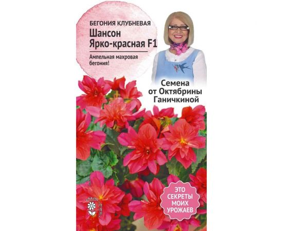 Семена ОКТЯБРИНА ГАНИЧКИНА Бегония клубневая Шансон Ярко-красная F1 6 шт. 119645 