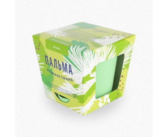 Набор для выращивания растений Тысяча листьев Пальма Вашингтония tl-013 – изображение 2