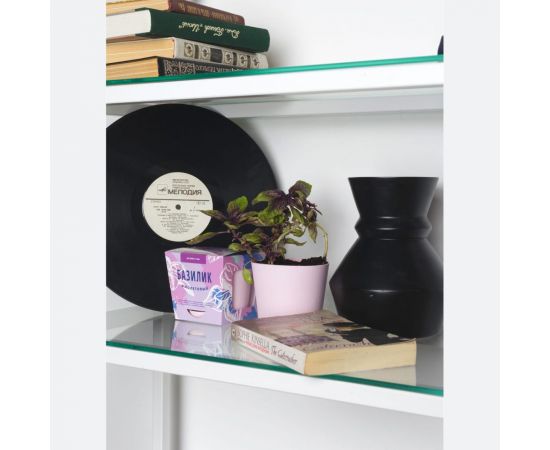 Набор для выращивания растений Тысяча Листьев Базилик фиолетовый tl-016 – изображение 2