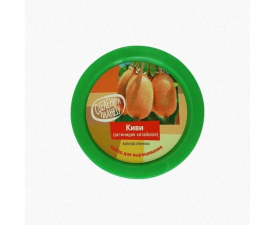 Набор для выращивания растений Вырасти,Дерево! Киви зимостойкое zk-095 – изображение 2