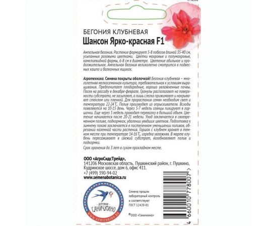Семена ОКТЯБРИНА ГАНИЧКИНА Бегония клубневая Шансон Ярко-красная F1 6 шт. 119645 – изображение 2