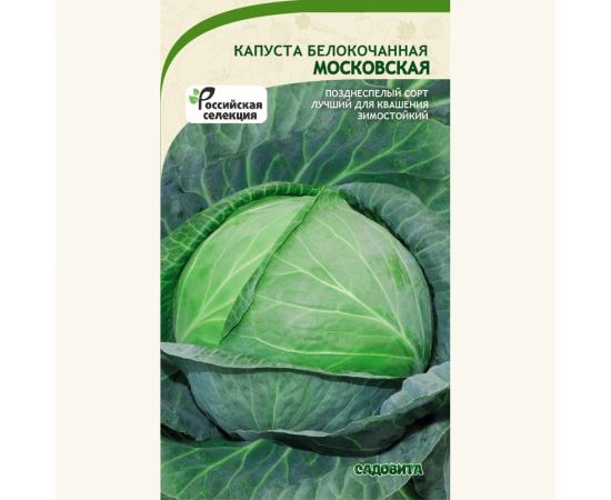 Семена САДОВИТА Капуста Московская белокочанная 0.5 г 00140084 – изображение 2