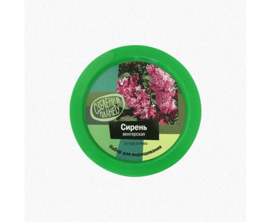 Набор для выращивания растений Вырасти,Дерево! Сирень венгерская zk-053 – изображение 2