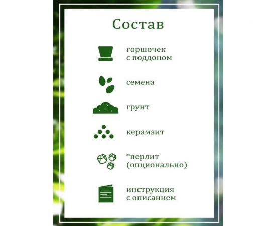 Подарочный набор для выращивания растений Вырасти,Дерево! Земляника ананасная zk-114 – изображение 4